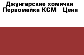Джунгарские хомячки  Первомайка КСМ › Цена ­ 200 - Новосибирская обл., Новосибирск г. Животные и растения » Грызуны и Рептилии   